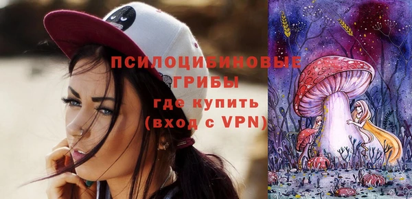 сатива Аркадак