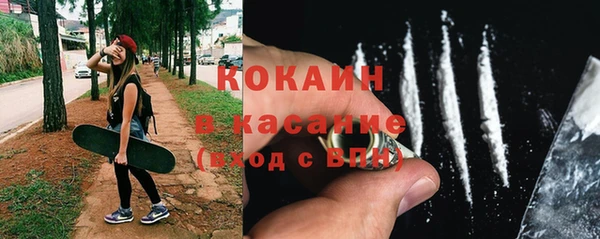 сатива Аркадак
