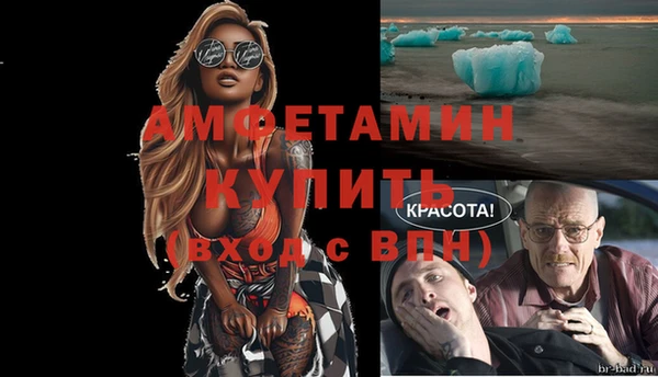 сатива Аркадак