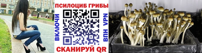 Галлюциногенные грибы Magic Shrooms Бор