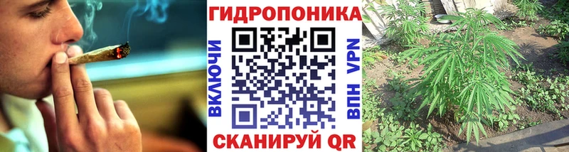 мориарти наркотические препараты  Бор  Каннабис Amnesia  как найти  